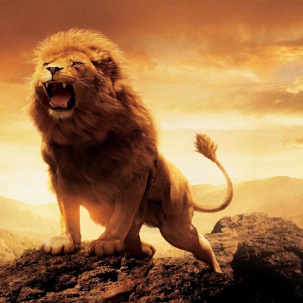 Meet your Posher, Demetrius